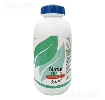 ���Ă�-��������