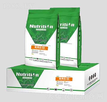 �����̦��-����̦-�������