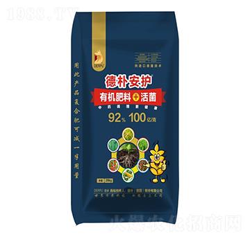 �㰲�o�ЙC����+���-��