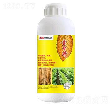 �S��Ƭ-�ذ�����