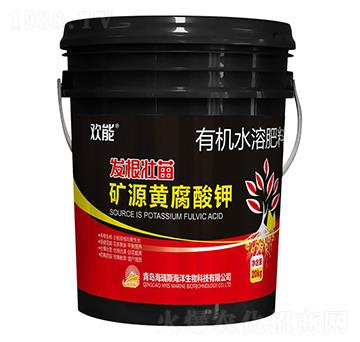 �VԴ�S�����-�g��-����˹