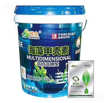 ���}����ͺ���ך����-�n��-�n��ʘI(y��)