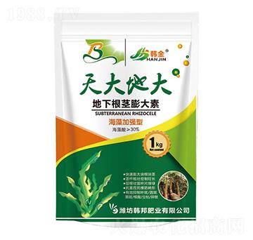 ����ӏ�(qi��ng)�͵��¸��o�����-���ش�-�n��-�n��ʘI(y��)