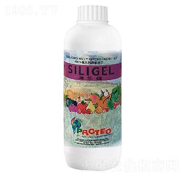 ʩ��(l��)��-���_�ٚW