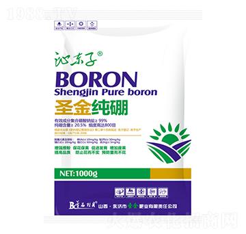 ʥ����-�ߖ|��-ʥ��ʘI(y��)