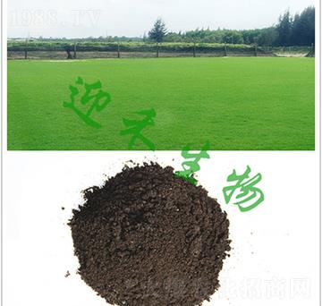 ��ƺ�G�����÷�-ӭ������