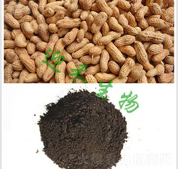 �������÷�-ӭ������