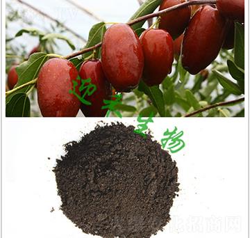 ���ЙC��-ӭ������