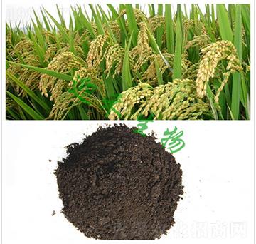 ˮ���ЙC��-ӭ������