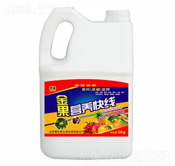 ����I(y��ng)�B(y��ng)�쾀-������