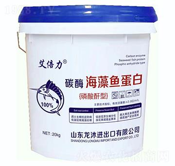 ̼ø�����~����-���̴T��