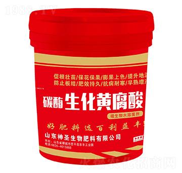 �f�A��̼ø�����S����-��ʥ����