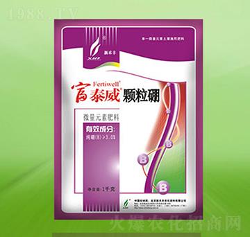 �w����-��̩��-�º��S