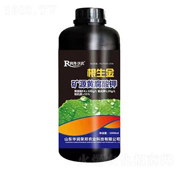 �VԴ�S�����-������-����փ�(y��u)-�A���s��