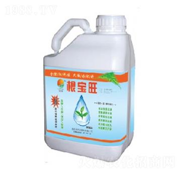 ������Һ�w���B(y��ng)����-���P�(y��ng)