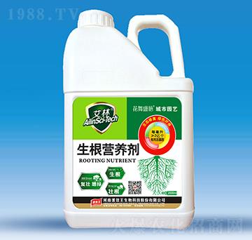 �����I(y��ng)�B(y��ng)��-����-�N������