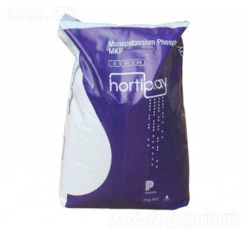 �G�����-��ţ�r�I(y��)