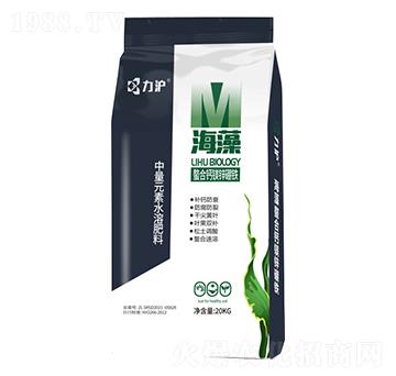 ���������}�V�\���F-��������