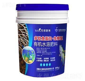 �����~(y��)����-������-��֮��