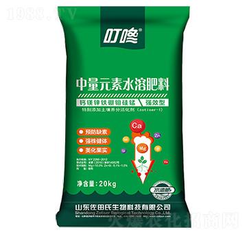 ��������Ԫ�أ��G�b��-������