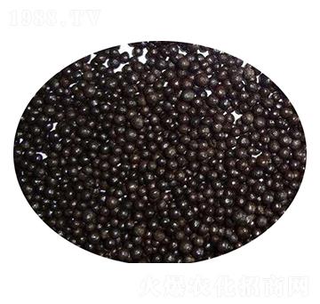 ţ�S�ЙC(j��)�ʣ��w����-�r(n��ng)��ʘI(y��)