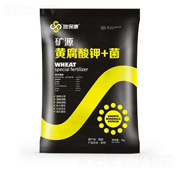 �VԴ�S�����+��-ʩ����