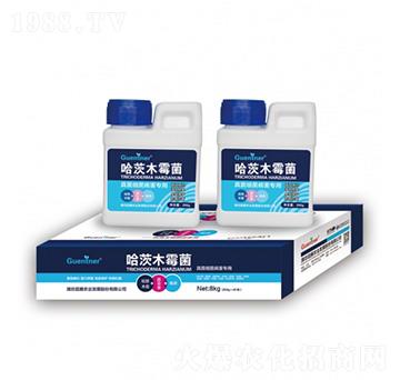 �����(x��)��������(zhu��n)�ù���ľù��-���v����