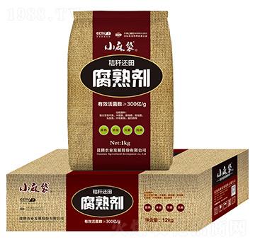 �ն�߀�︯�섩-С���-���v����