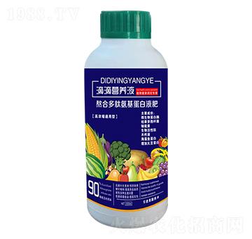 �εΠI(y��ng)�B(y��ng)Һ-��ʢ�_(d��)