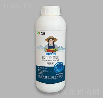 ���Ķࡤ΢�������-�̽�