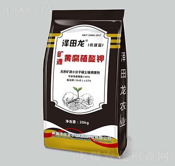 �VԴ�S������w��-�������r(n��ng)�I(y��)