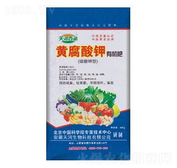 �S������ЙC(j��)��-��ӷʘI(y��)