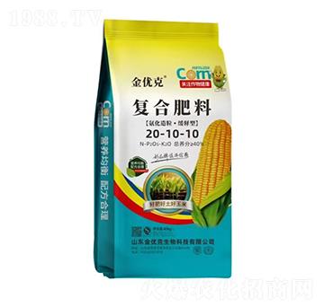 ��������������͏�(f��)�Ϸ���20-10-10-����(y��u)��