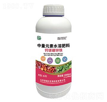 �}�V���\�F-��Ԫ����