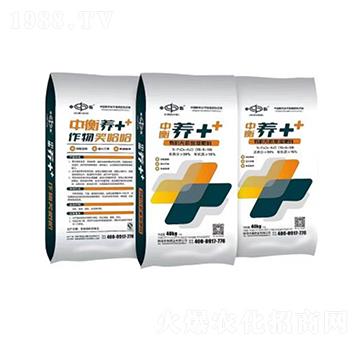 �ЙC(j��)�o(w��)�C(j��)��(f��)�����-�B(y��ng)++-�к�