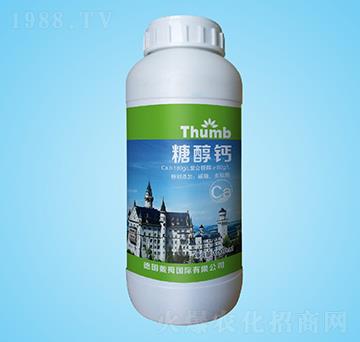 �Ǵ��}-����r�I(y��)