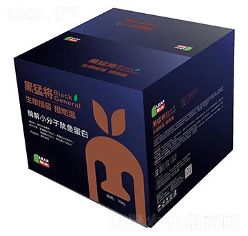 ø��С�������~(y��)����-���͌�-�շ�