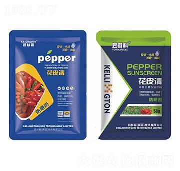 ����Ԫ��ˮ�ܷ���-��Ƥ��-�P���D-̩����