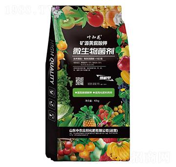 �VԴ�S�����΢�������-�~֪��-���r����