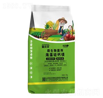 25kg΢�������-������}�V-�����S-�����_����