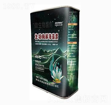 ����ø�⺣����-���{(l��n)����-ǧ�~��400��-��˹�r(n��ng)