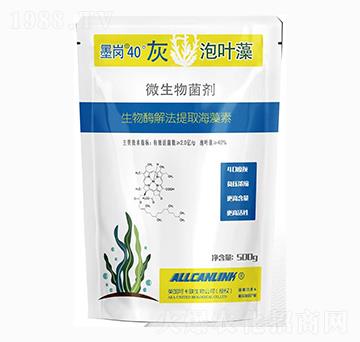 ΢�������-ī��40�����~��-��˹�r(n��ng)