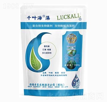 ��(f��)��΢�������-ǧ�~����-��˹�r(n��ng)