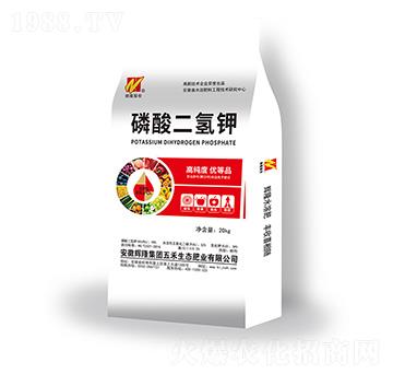 �߼�����������-�x¡���F