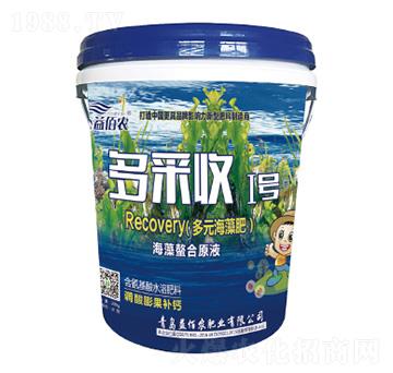 ��Ԫ�����-�����I̖-����r(n��ng)�ʘI(y��)