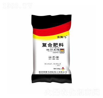 ������͏ͺϷ���23-11-8+TE-ِ�{�R-�P���ѷʘI(y��)