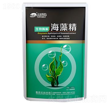 ���徫-���_��