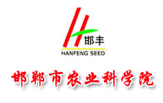 �������r�I(y��)�ƌWԺ